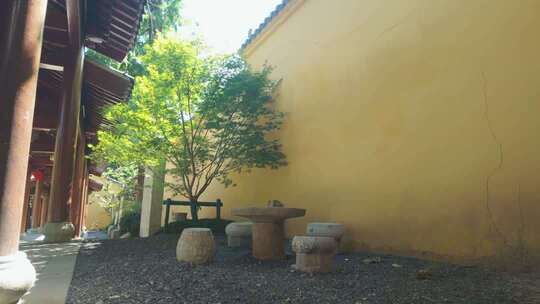 墙边绿植庭院小树盆栽