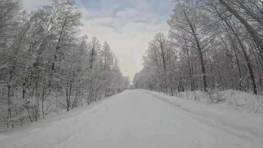 行驶在林海雪原的雪路上