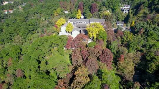 航拍深秋南岳衡山风景区福严寺千年银杏