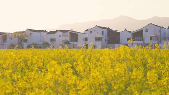 杭州富阳东梓关村春天风景慢镜头