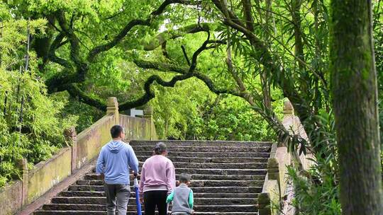 宁波月湖公园景区