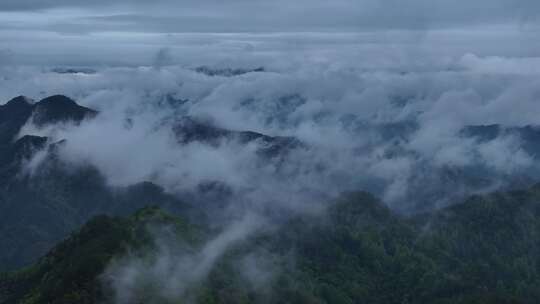 云雾原始森林大自然航拍