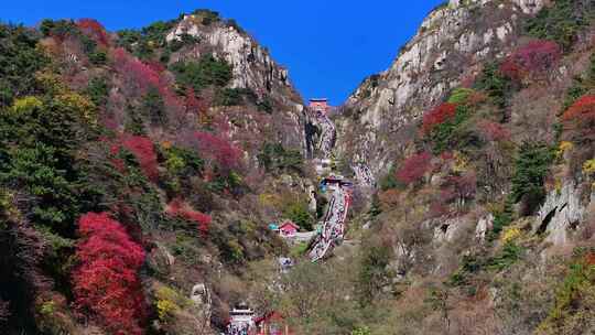 泰山对松山的秋色