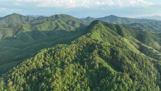 森林航拍山水树林自然风景大自然风光绿色山