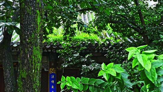 中国风寺庙古建筑下雨雨滴慢镜头