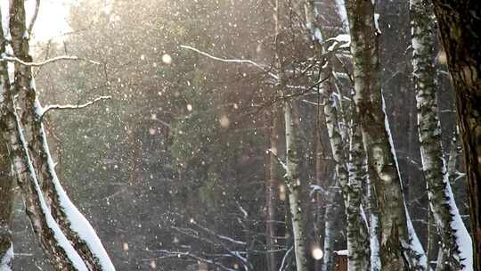 冬天冰雪视频素材模板下载