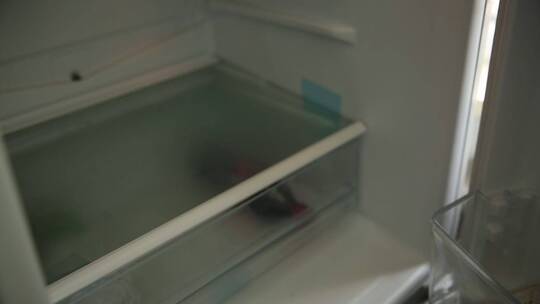 湿布覆盖梭子蟹螃蟹放入冰箱保存视频素材模板下载