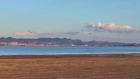 贵州威宁草海风景风光