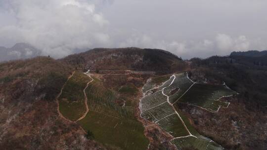 湖南张家界武陵源天子山茶园冬天雪景航拍