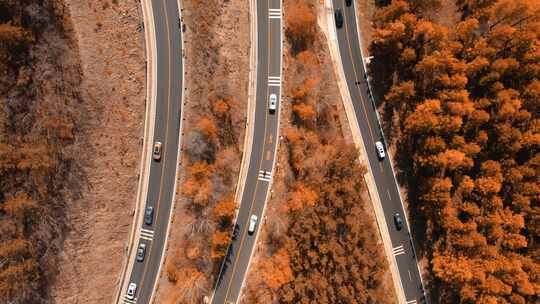 4K航拍河北承德塞罕坝机械林场公路风光