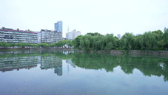 武汉汉口宝岛公园风景