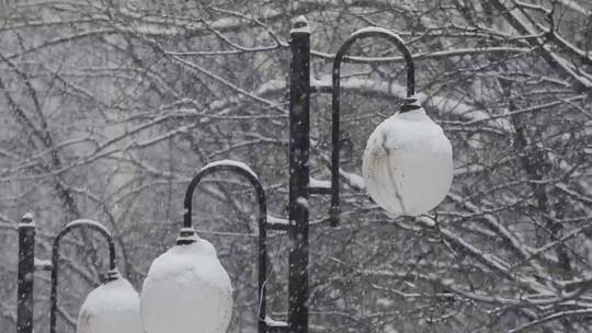 积雪覆盖的城市路灯视频素材模板下载