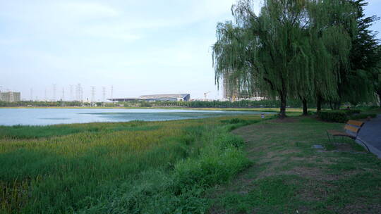 武汉杨春湖城市生态公园风景