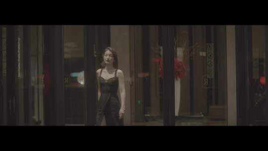 【1080p】美女高档酒店旋转门慢动作