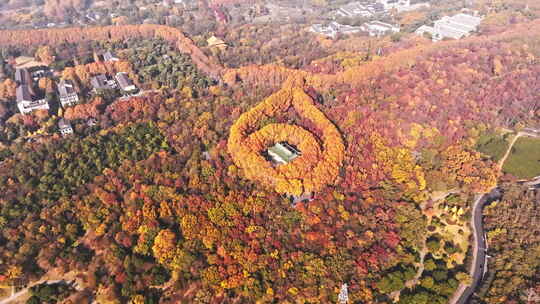 南京钟山风景区秋景