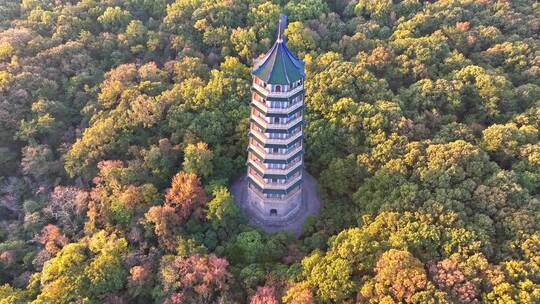 南京 灵谷塔 秋景 南京秋天 秋色 历史建筑