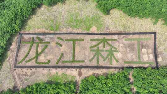 鹤岗关门嘴子水库