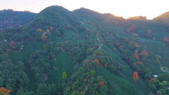 夕阳西下大山森林唯美航拍风景大自然风光杭