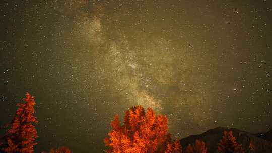 森林前景星空延时摄影视频素材模板下载