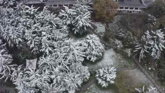 雪中的西安大雁塔雪景