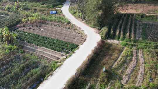 农田道路航拍