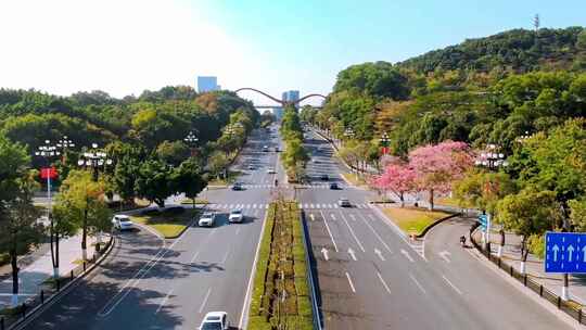 航拍 科学大道延时 广州黄埔区