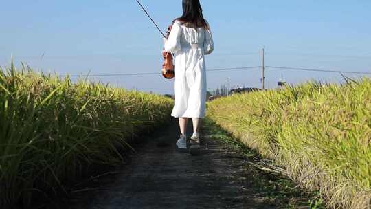 秋季麦田白裙子美女小提琴日系唯美丰收麦穗