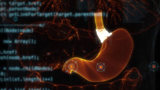 3D三维人体身体器官机能透视动画展示-胃