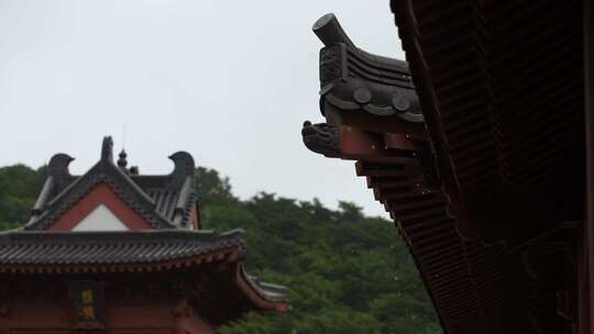 雨天屋檐下雨雨水惊蛰禅意古风清明大暑