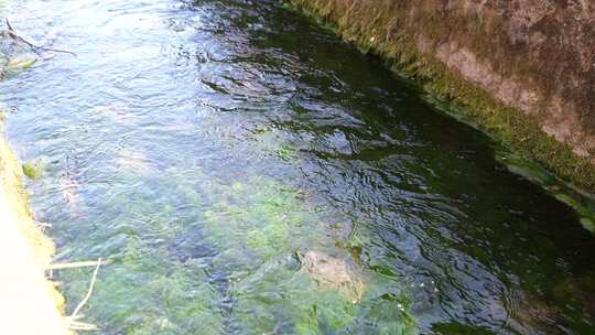 水面波纹近景