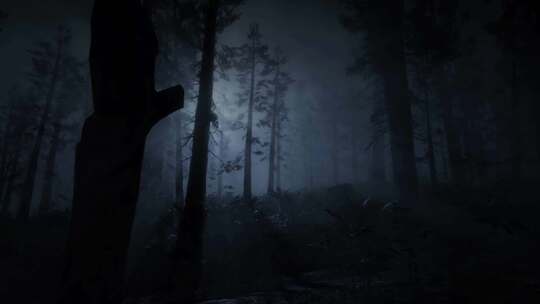 森林中的恐怖场景，神秘的树木，月光，黑夜视频素材模板下载