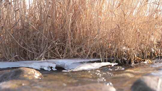 冰融 冬天 初春 水面 河流 冰雪融化 自然