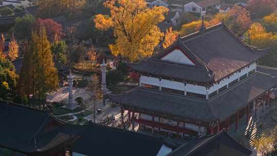 浙江嘉兴梅花洲石佛寺千年银杏航拍