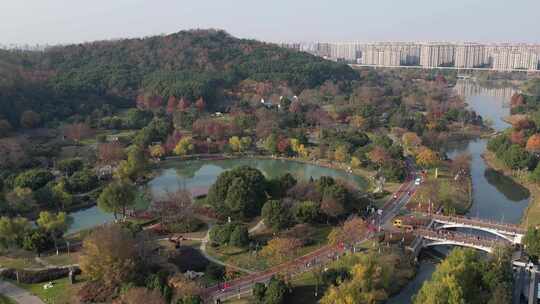 深秋的芜湖神山公园风光航拍素材