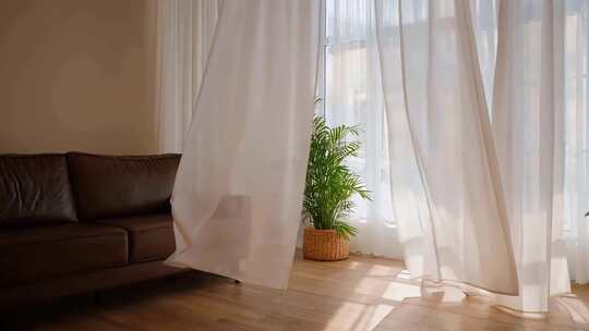 清晨阳光透过窗帘照射进房间