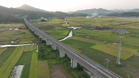 乡村农田稻田河流航拍