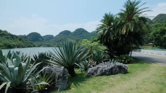 广西柳州山水龙潭公园自然风光美景