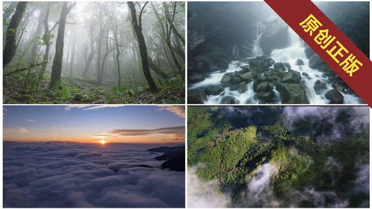 [4K合集]云南哀牢山云海日出森林溪流大自然