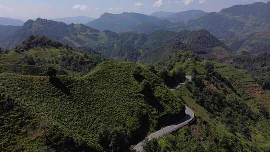 攀枝花森林公路航拍直出