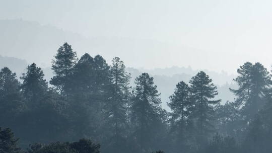 清晨的山林云雾山水画视频素材模板下载