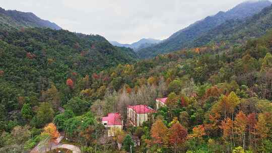 靖安隐仙谷山区15