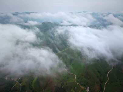 安吉溪龙茶山云海仙境航拍延时