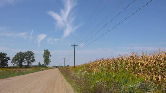 农村玉米地和土路通向中西部农场