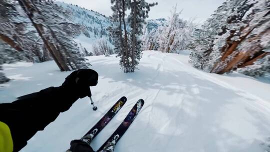 第一人称双板滑雪POV