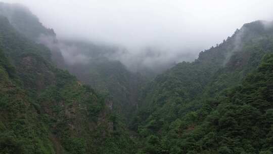 云雾缭绕四川九峰山、巍峨大山