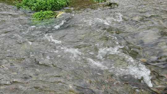 清澈河水河流水源水流溪流溪水