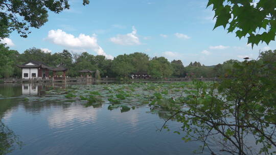 三潭印月 杭州西湖 诗画江南 水墨山水 建筑视频素材模板下载