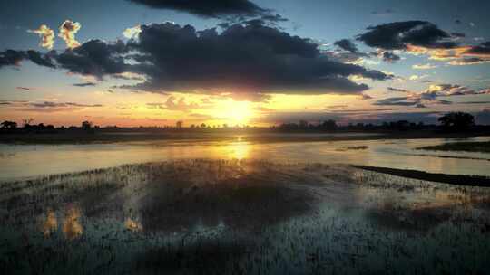 唯美湿地公园夕阳风景日出风景航拍