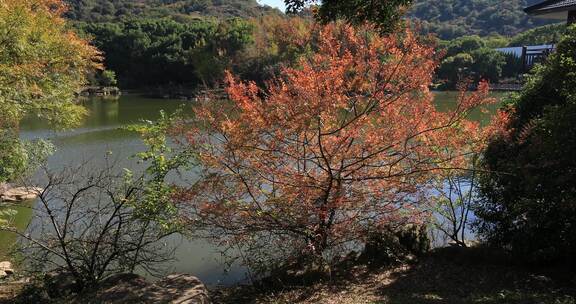 宁静湖水 绿色森林 蓝天 苏州白马涧