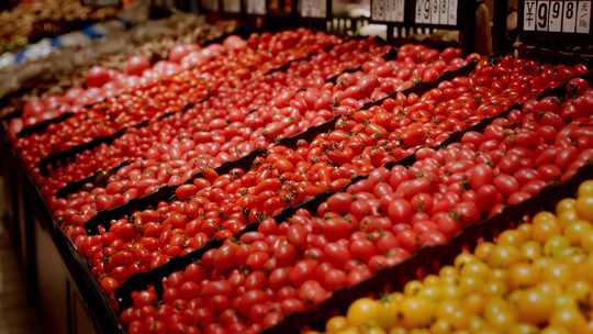 超市货架上的圣女果与番茄视频素材模板下载